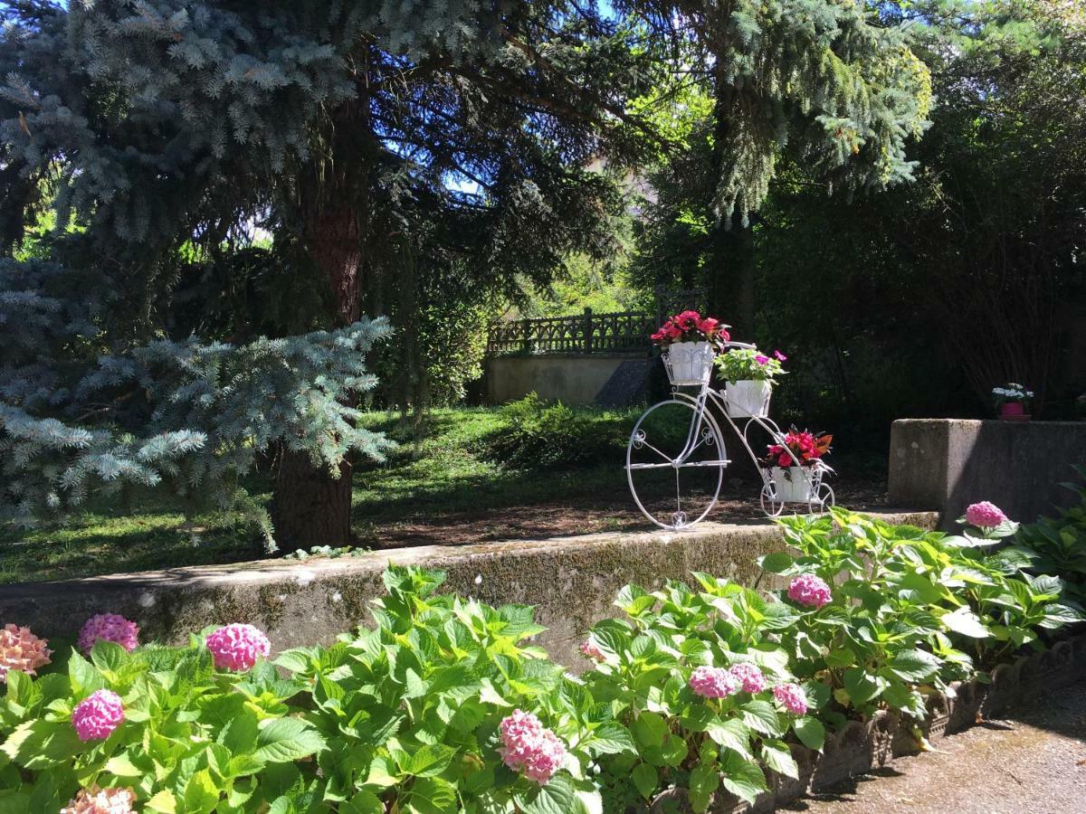 Pasquier * Vienne (Isere)